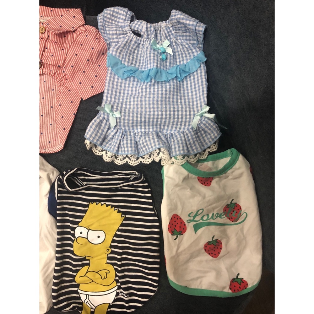 puppy clothes and coller set☺️☺️